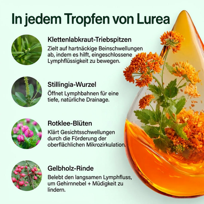 Lurea® Lymphdrainage-Tropfen Natürliche Linderung bei Wassereinlagerungen im Gesicht, Bauch und an den Beinen